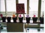 2004 Ausstellung 'Roses and Yonis' im Titusforum Frankfurt am Main